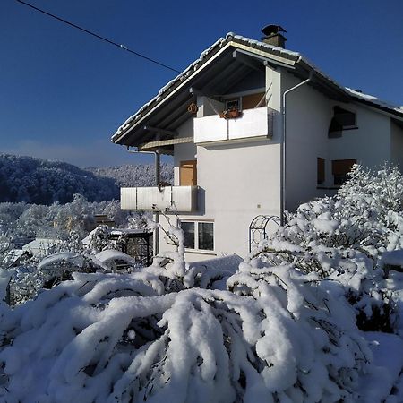 WutoschingenBlick Ins Wutachtal公寓 外观 照片