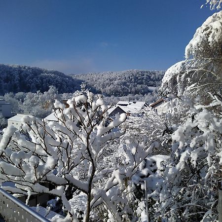 WutoschingenBlick Ins Wutachtal公寓 外观 照片