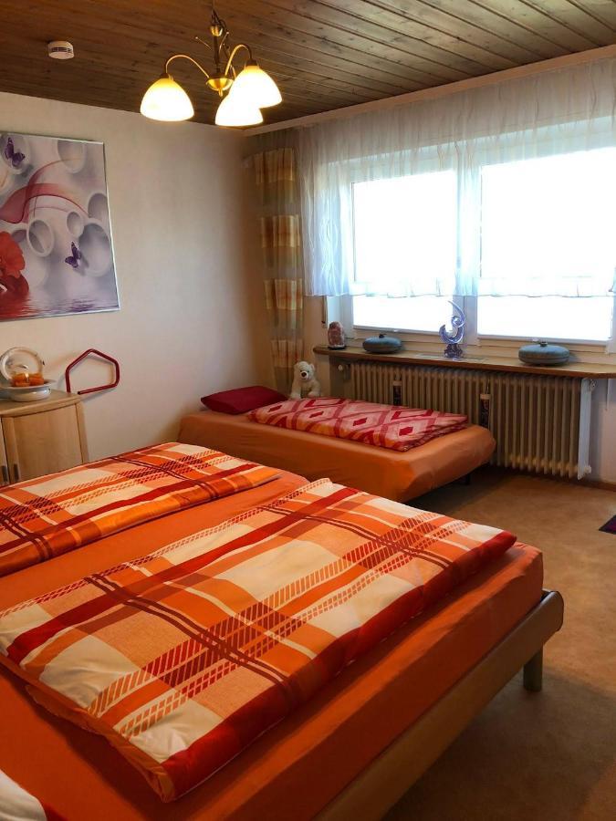 WutoschingenBlick Ins Wutachtal公寓 外观 照片