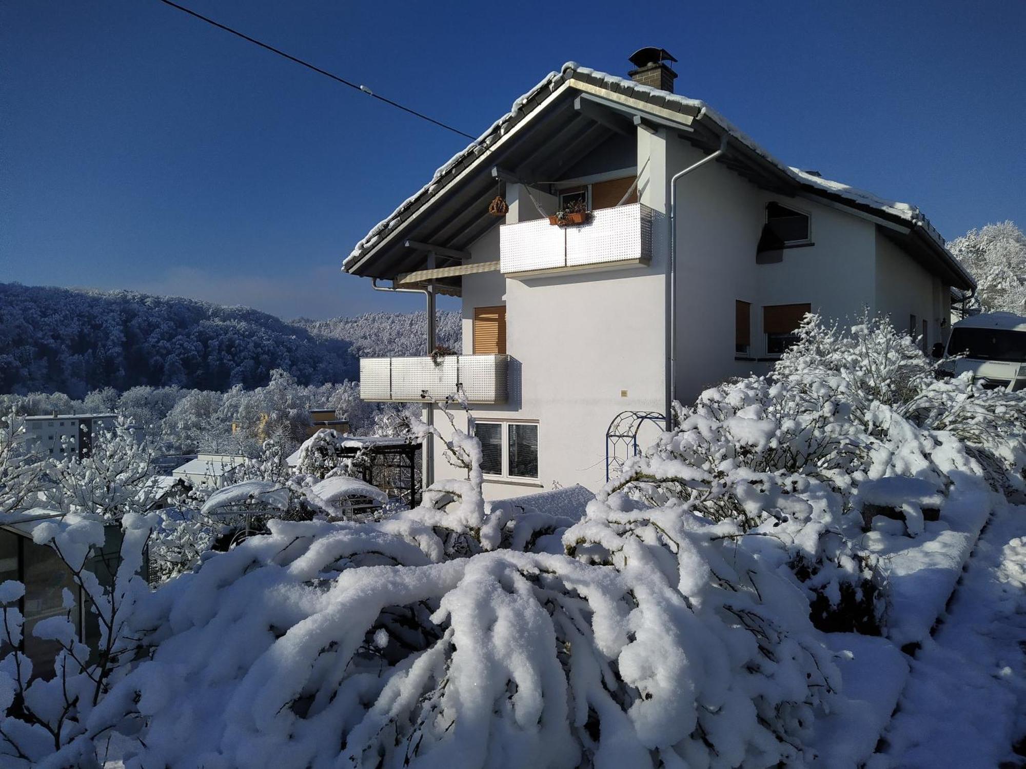 WutoschingenBlick Ins Wutachtal公寓 外观 照片